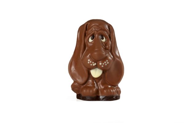 Pralinor Artisan Chocolatier ARTISAN CHOCOLATIER ANI02