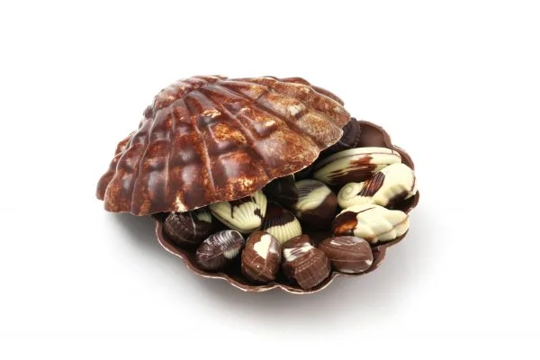 Pralinor Artisan Chocolatier Artisan Chocolatier Maroco-Belge depuis 40 ans Coquillage taille 3 3quart scaled 1