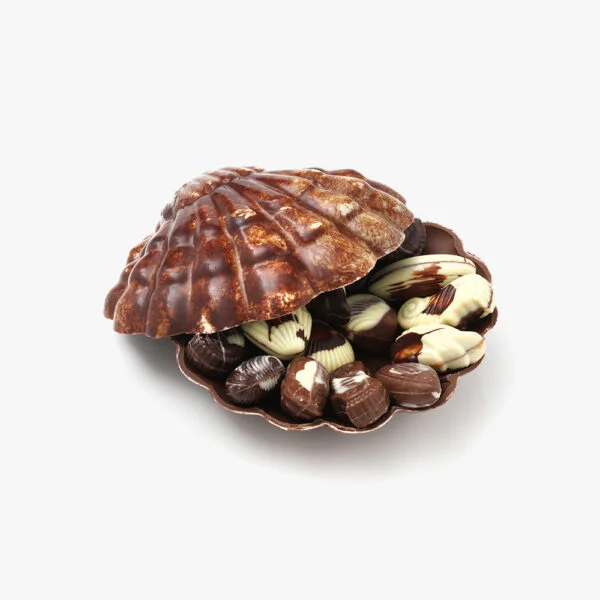 Pralinor Artisan Chocolatier Artisan Chocolatier Maroco-Belge depuis 40 ans Coquillage taille 0 3quart