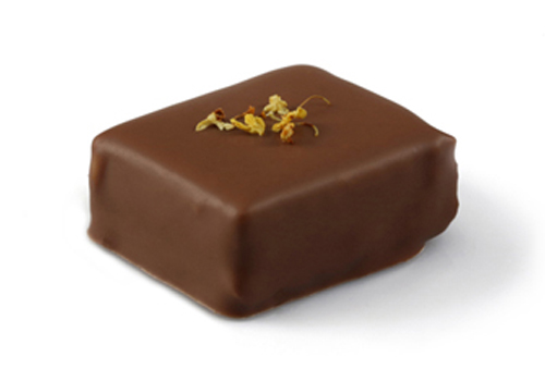 Pralinor Artisan Chocolatier Artisan Chocolatier Maroco-Belge depuis 40 ans C 10