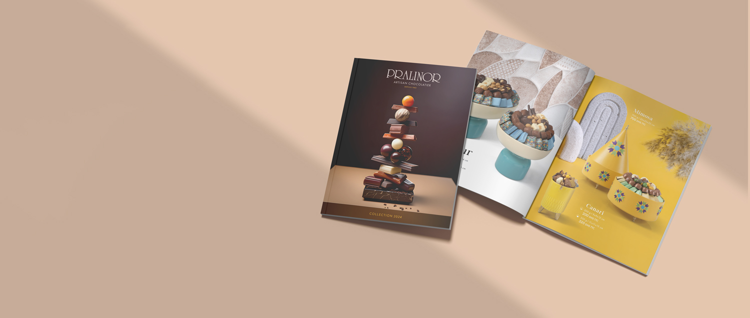 Accueil 3 Pralinor Artisan Chocolatier ARTISAN CHOCOLATIER chocolat,chocolatier Catalogue banner v2 1