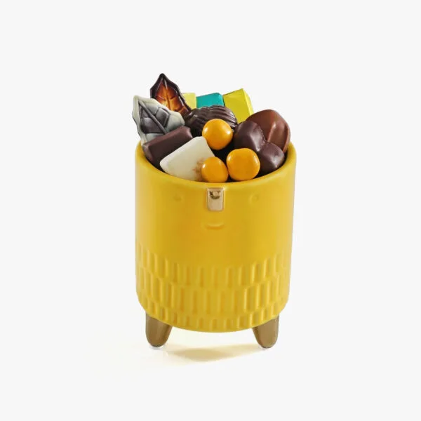 Canari