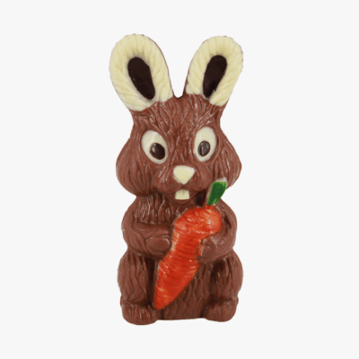 Carrot Bunny